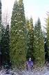 20061222142659-ca4xm91a.jpg